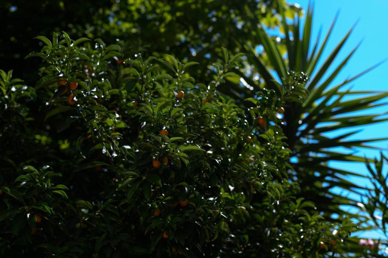 B&B La Fontanella San Benedetto del Tronto Luaran gambar